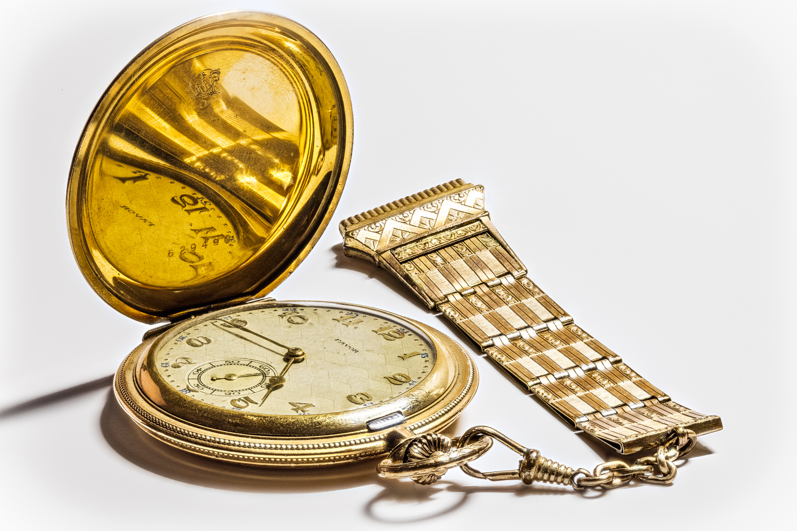 Focus Stacking with the Canon EOS R5 Settings Photographs from Dr. GerdUwe Neukamp