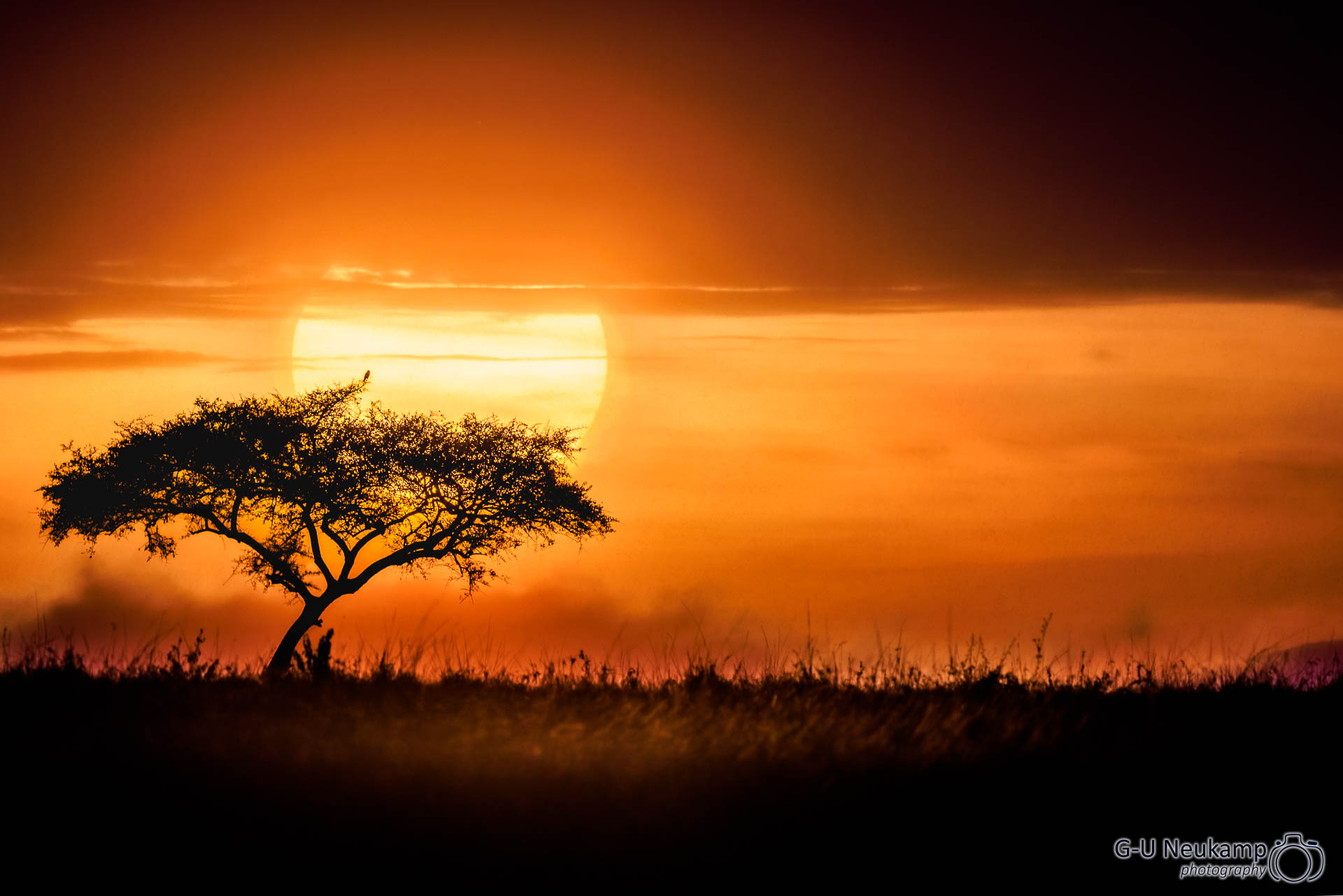 Sunrise in the Masai Mara, Kenya