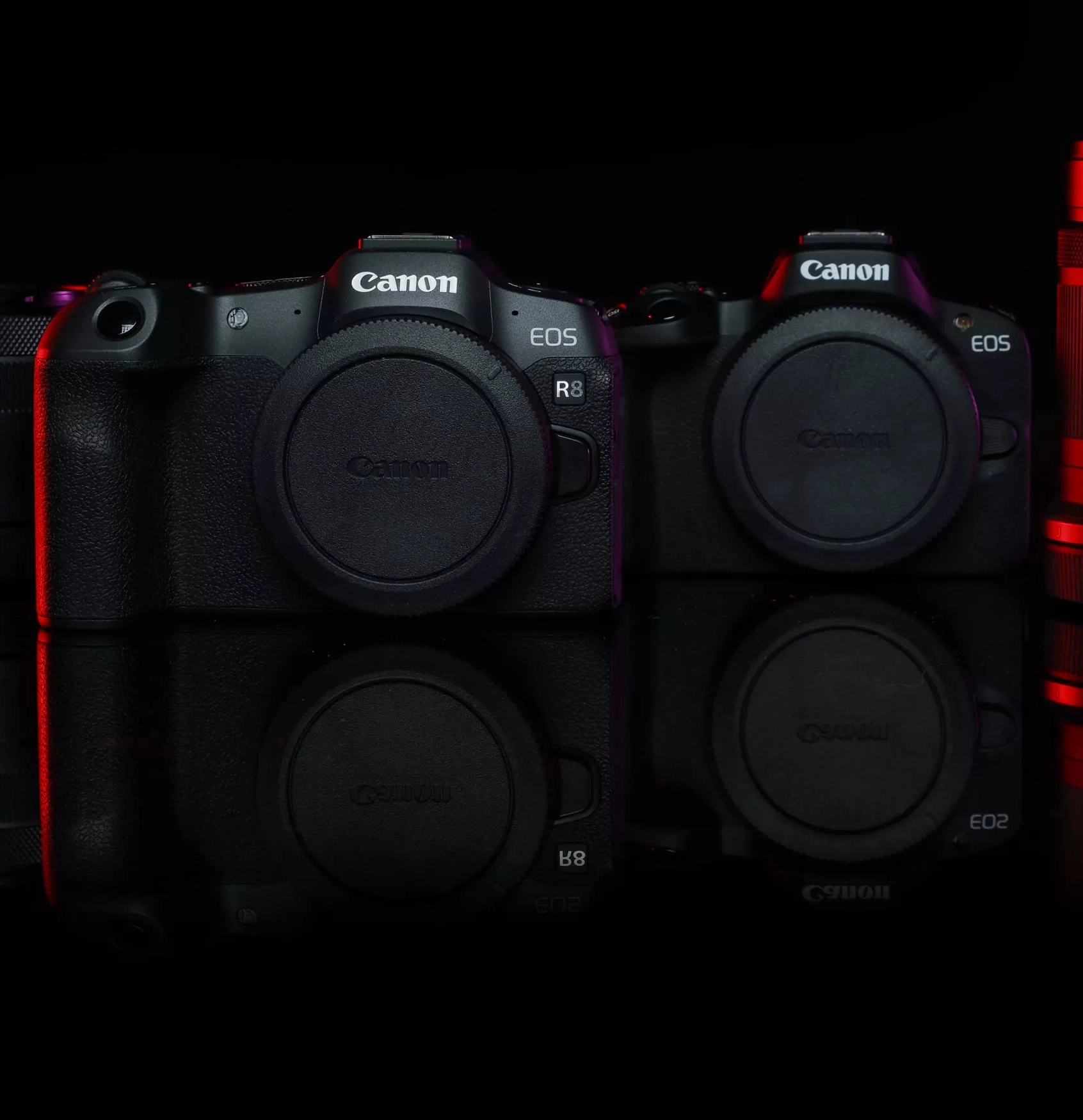 You are currently viewing Canon EOS R8 and R50 unveiled