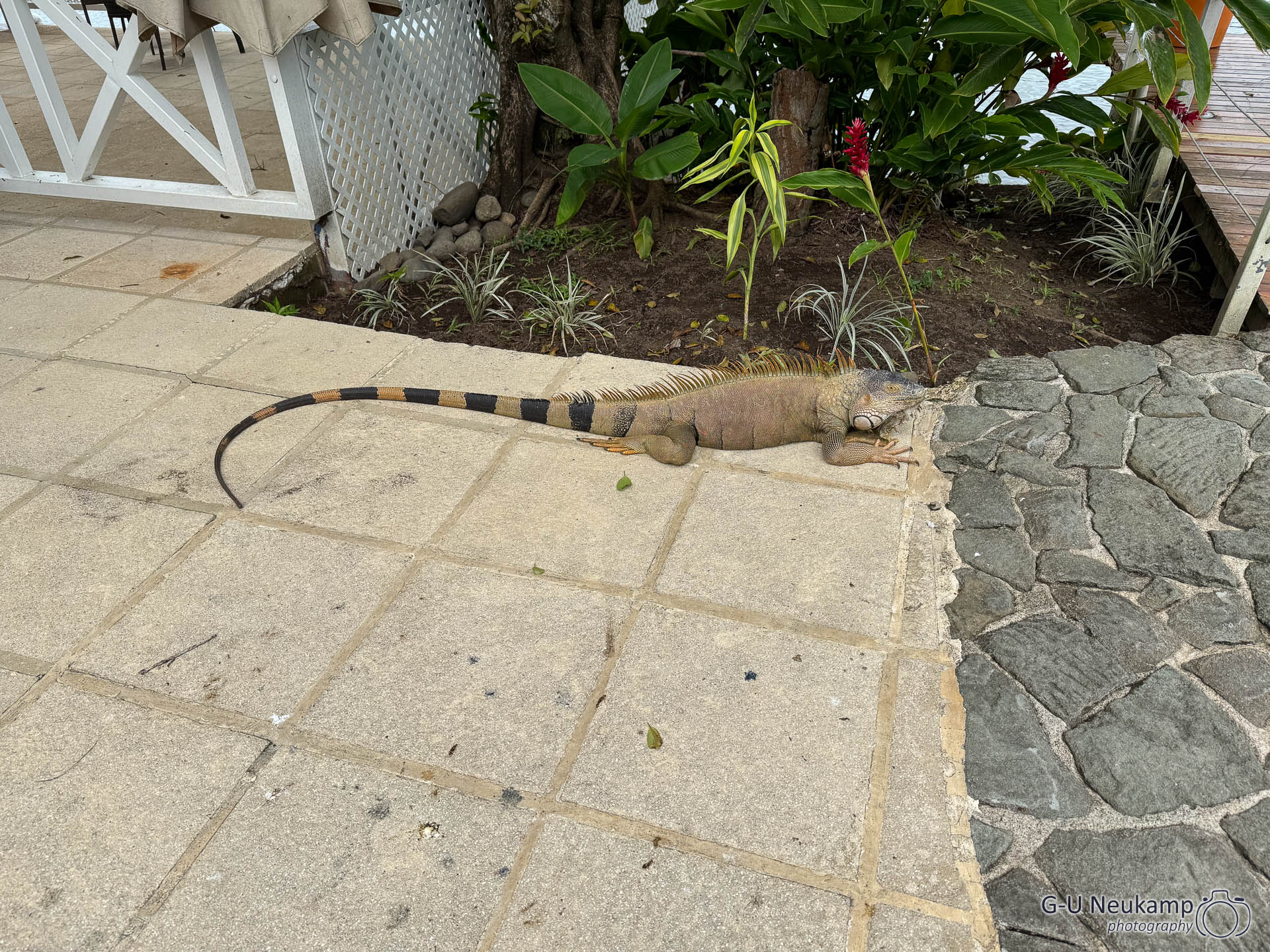 Colorado,Costa Rica