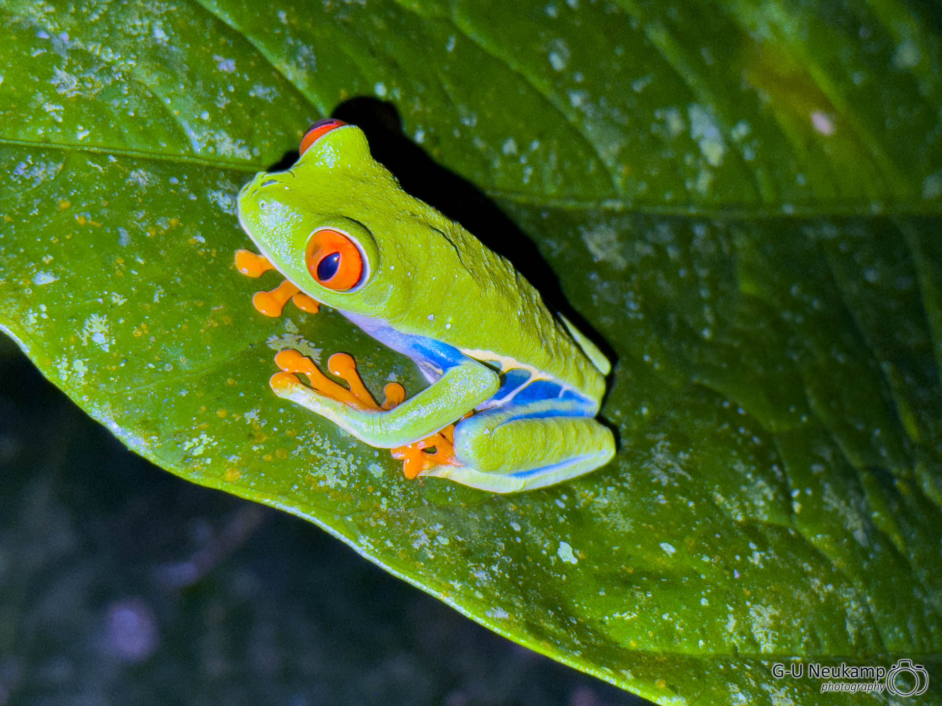 La Fortuna,Costa Rica