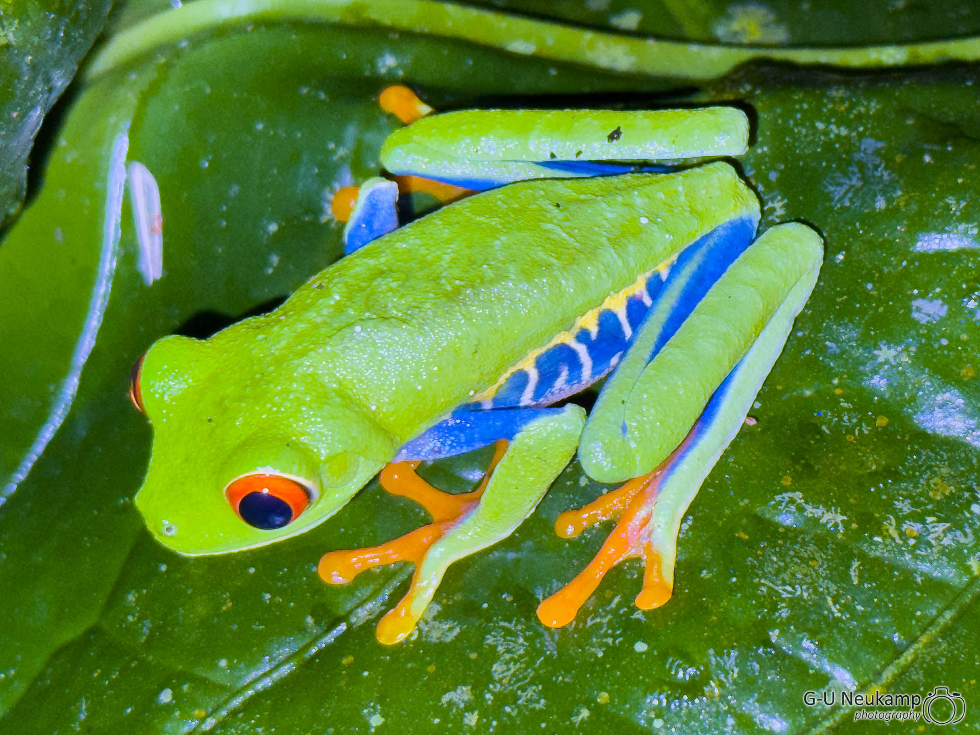 La Fortuna,Costa Rica