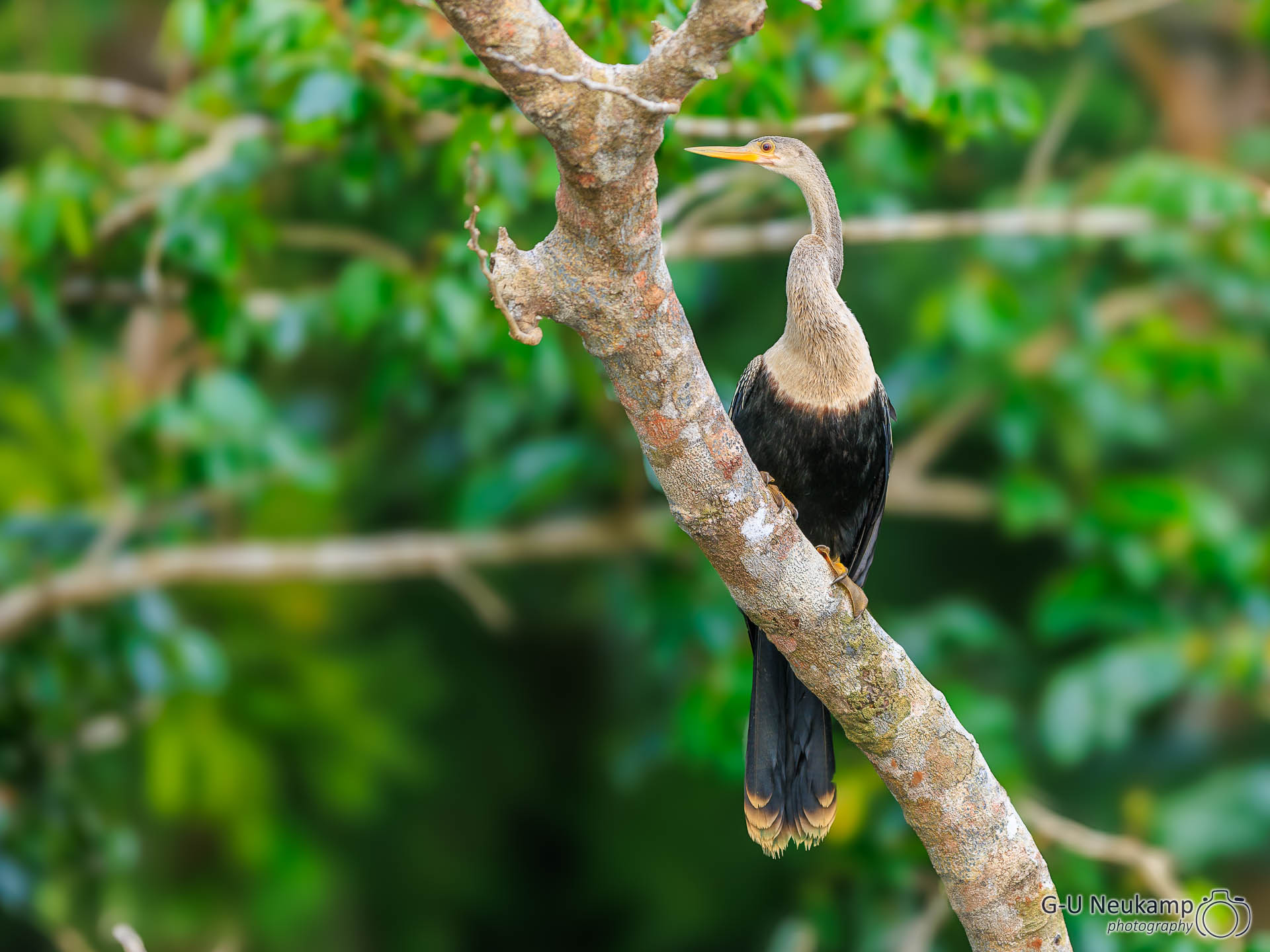 Colorado,Costa Rica