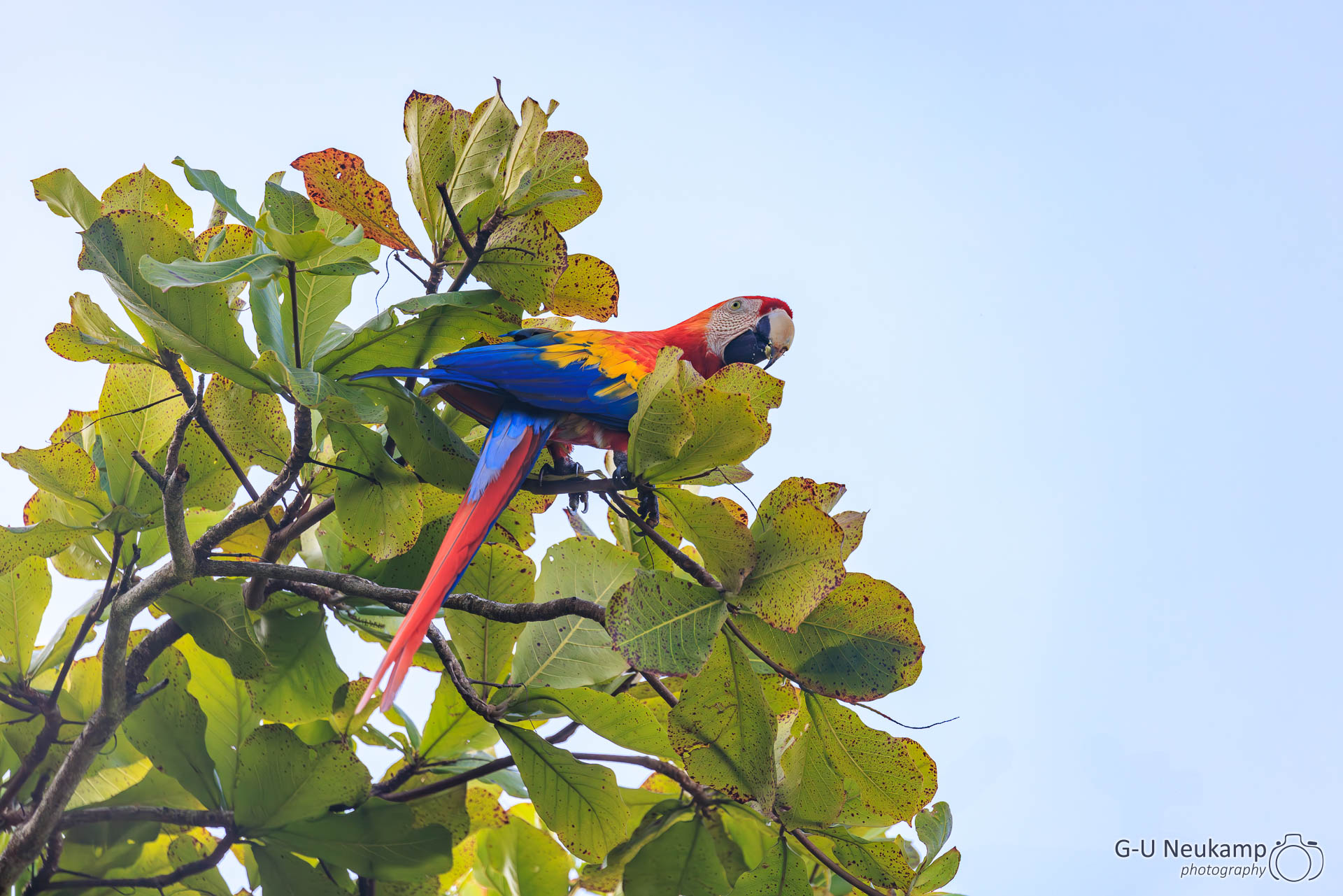 Bahía Drake,Costa Rica