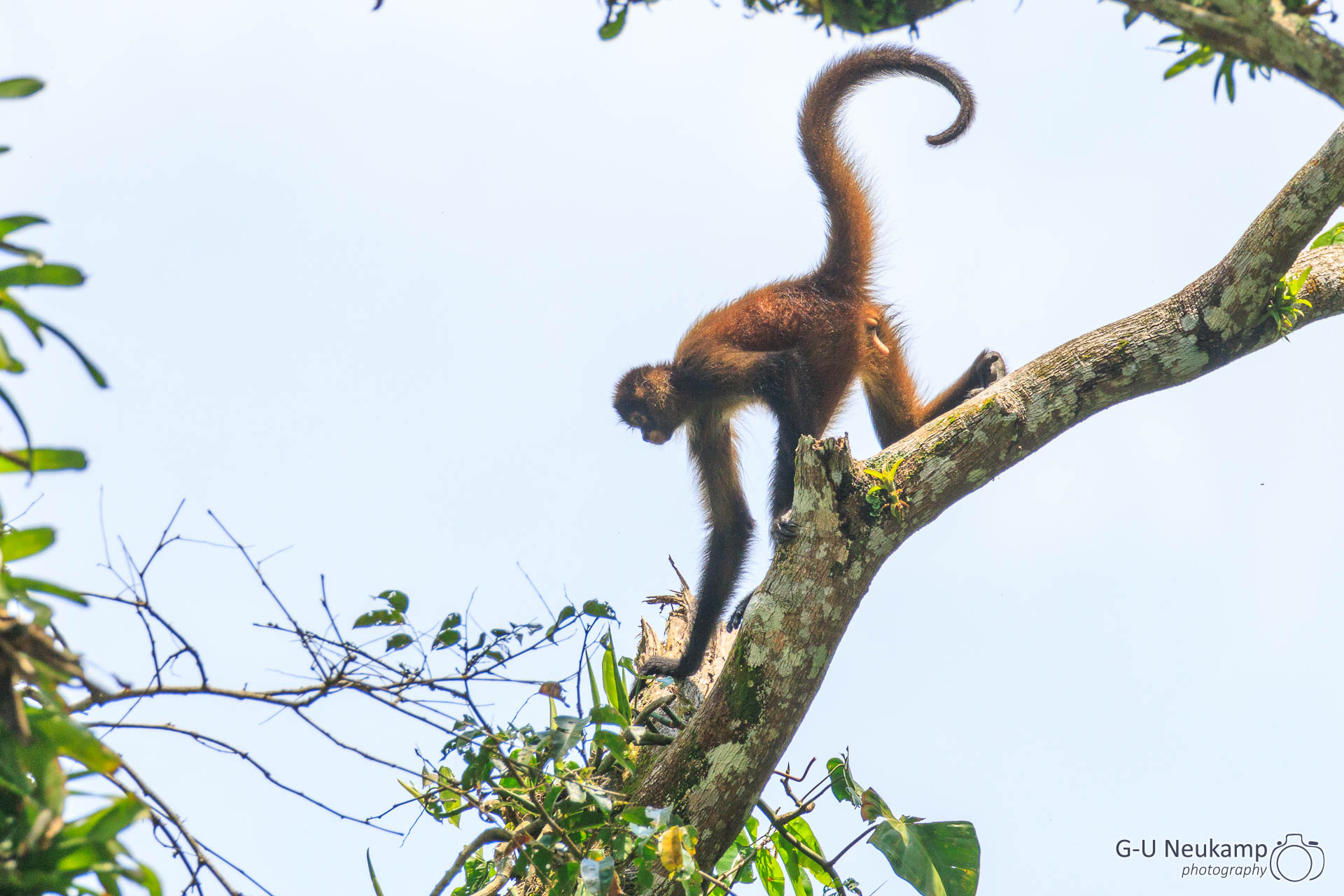 Reventazón,Costa Rica