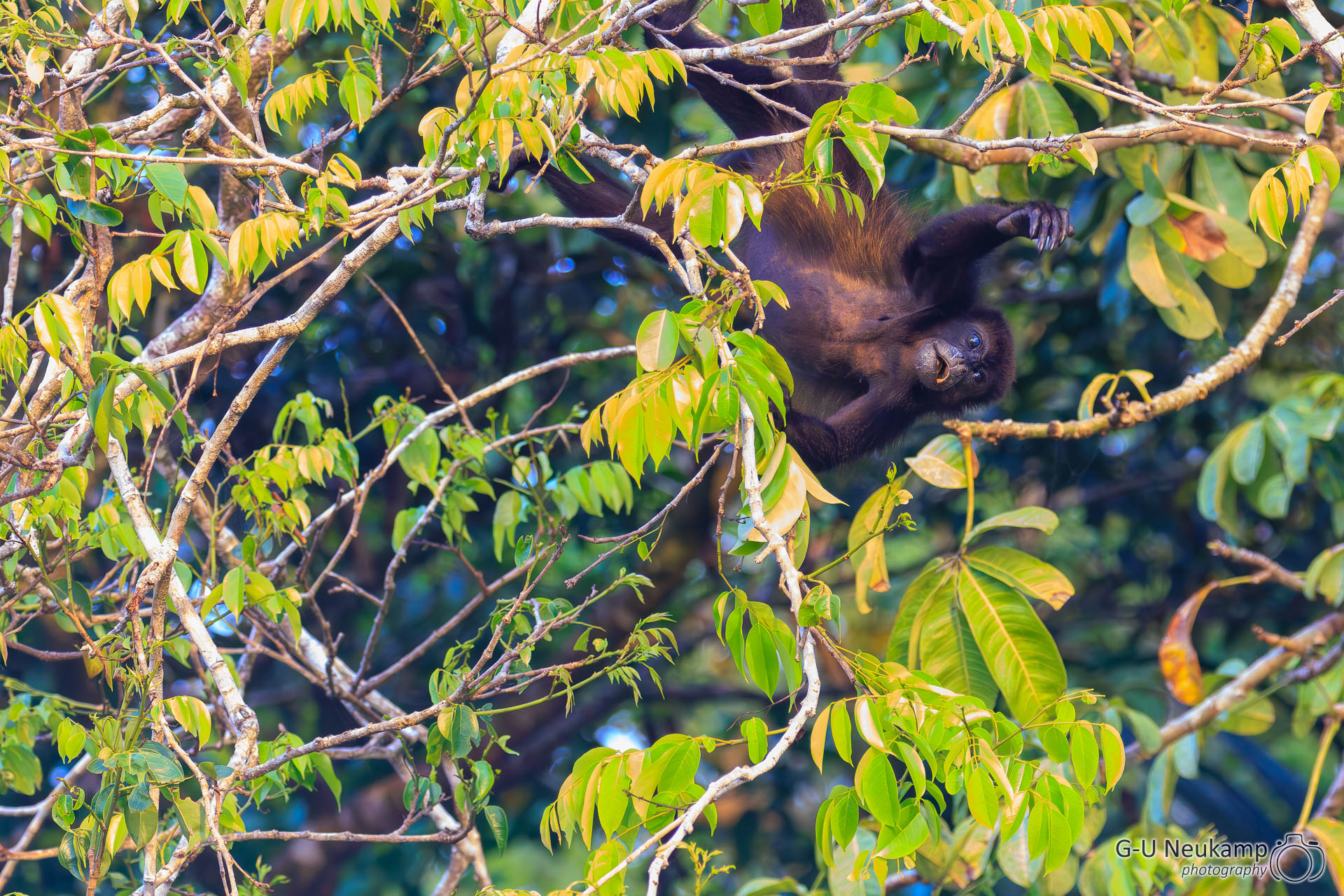 Colorado,Costa Rica