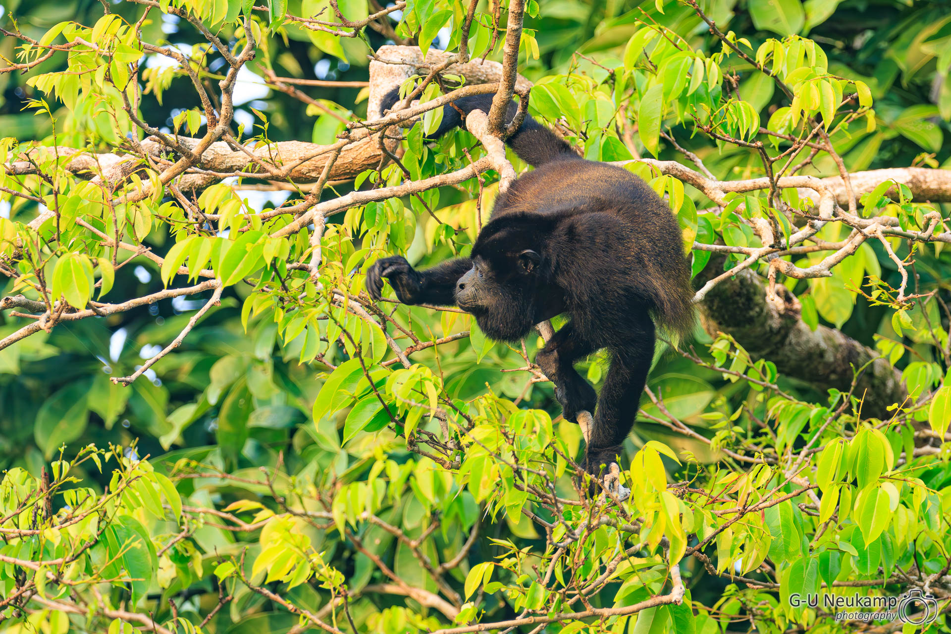 Colorado,Costa Rica