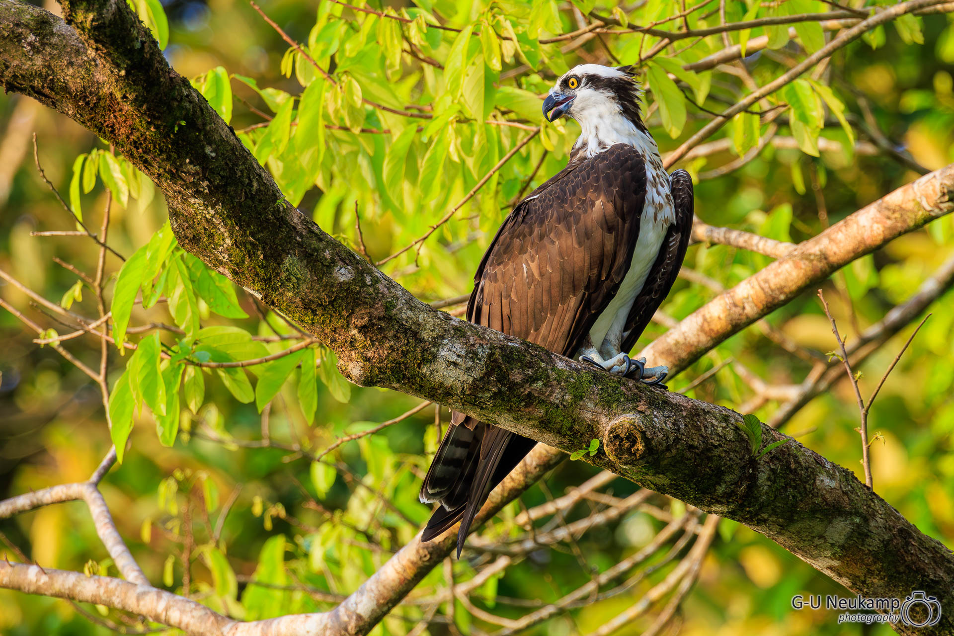 Colorado,Costa Rica