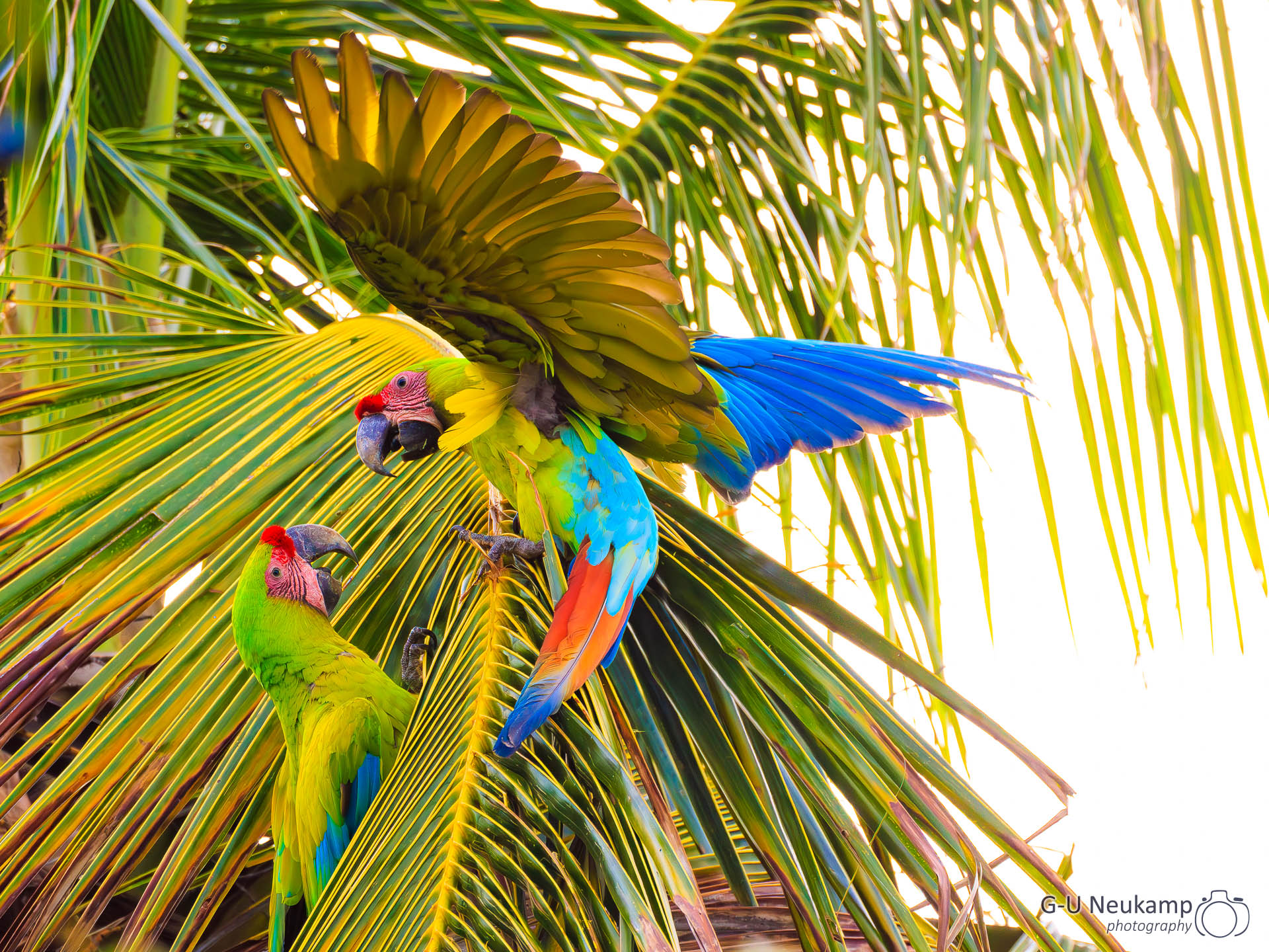 Colorado,Costa Rica
