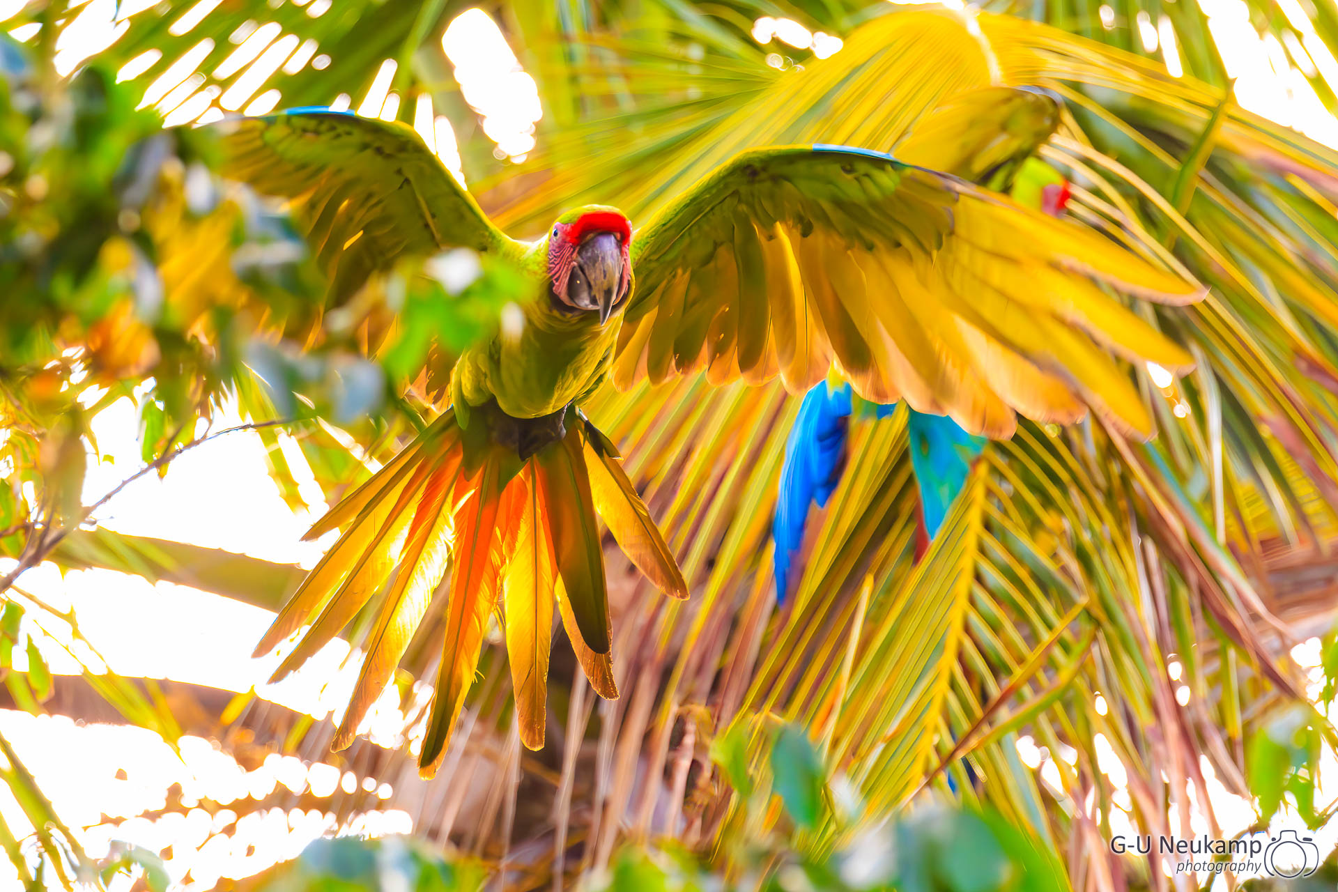 Colorado,Costa Rica