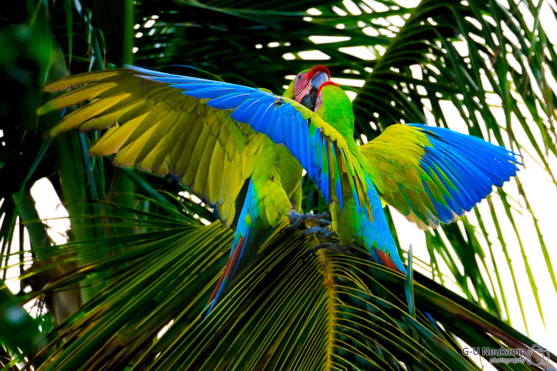 Colorado,Costa Rica
