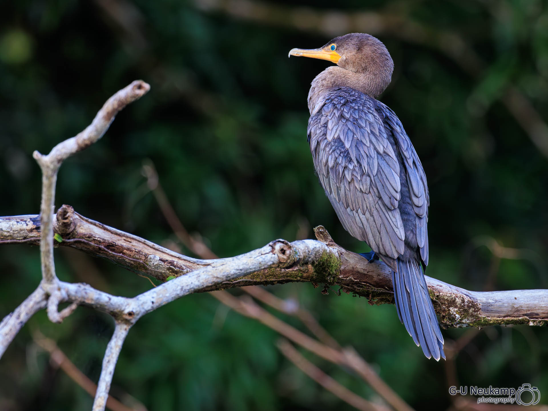 Colorado,Costa Rica
