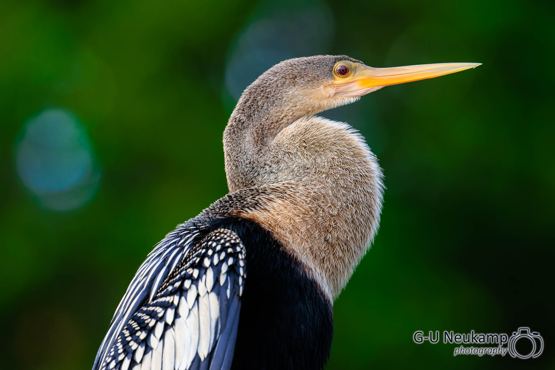 Colorado,Costa Rica