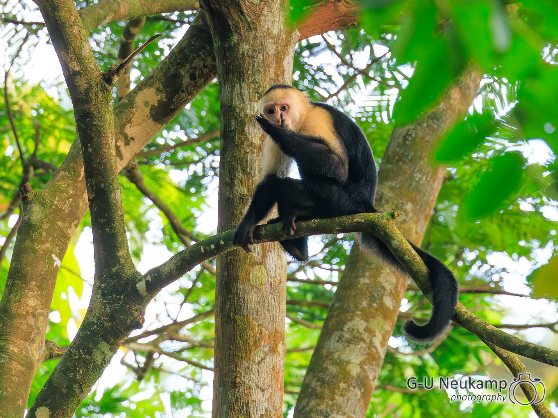Colorado,Costa Rica