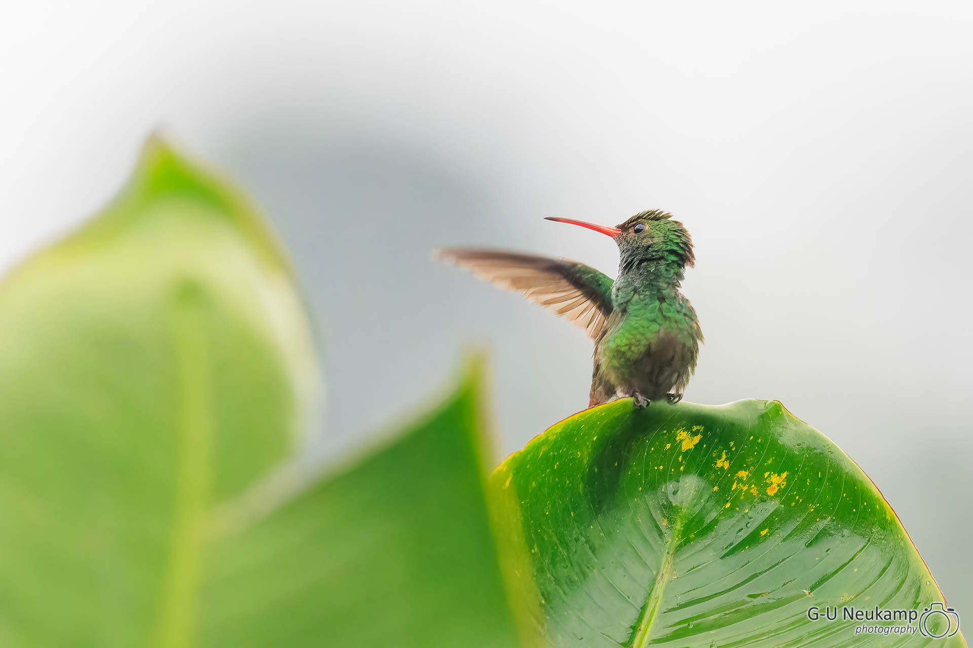 La Fortuna,Costa Rica