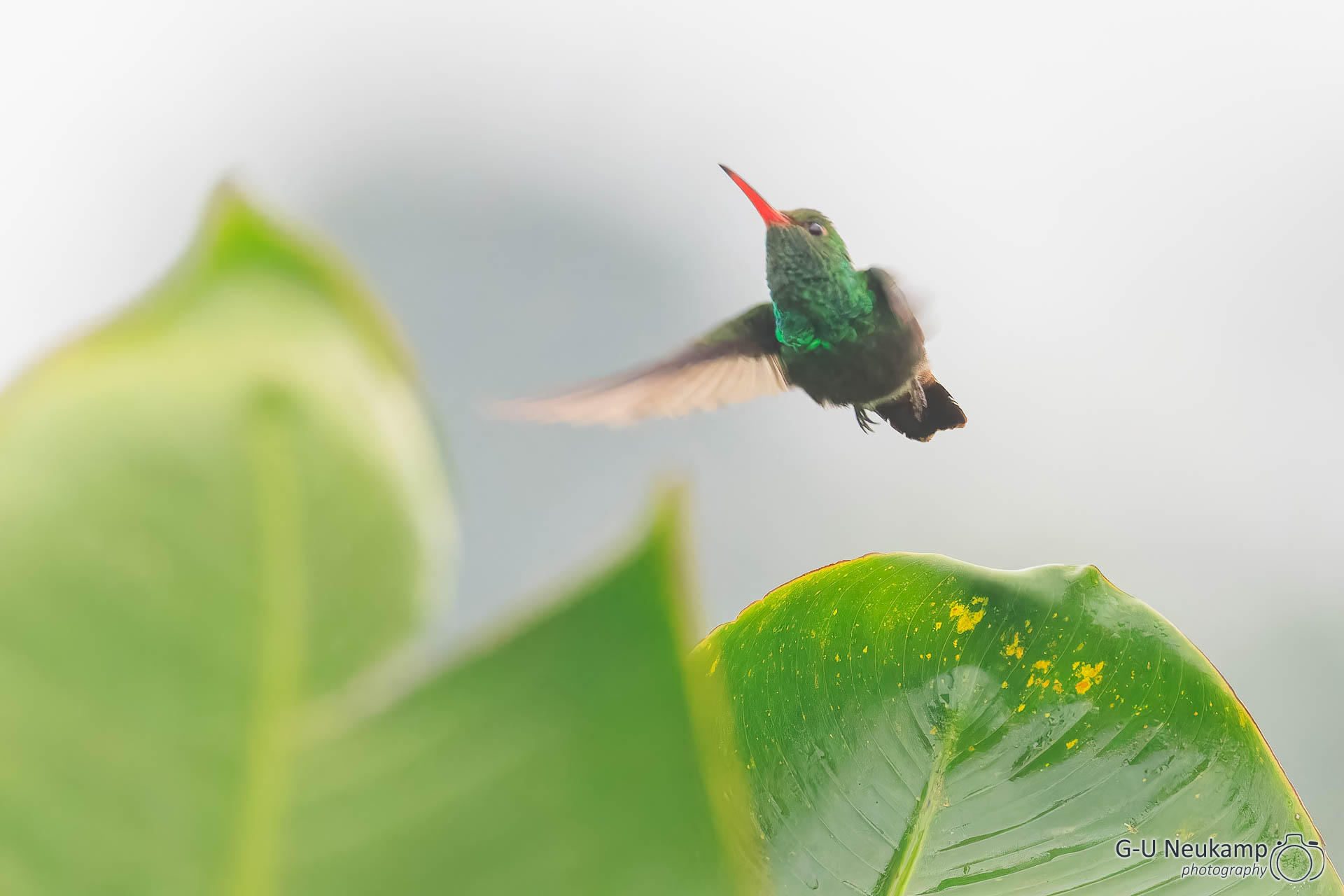 La Fortuna,Costa Rica