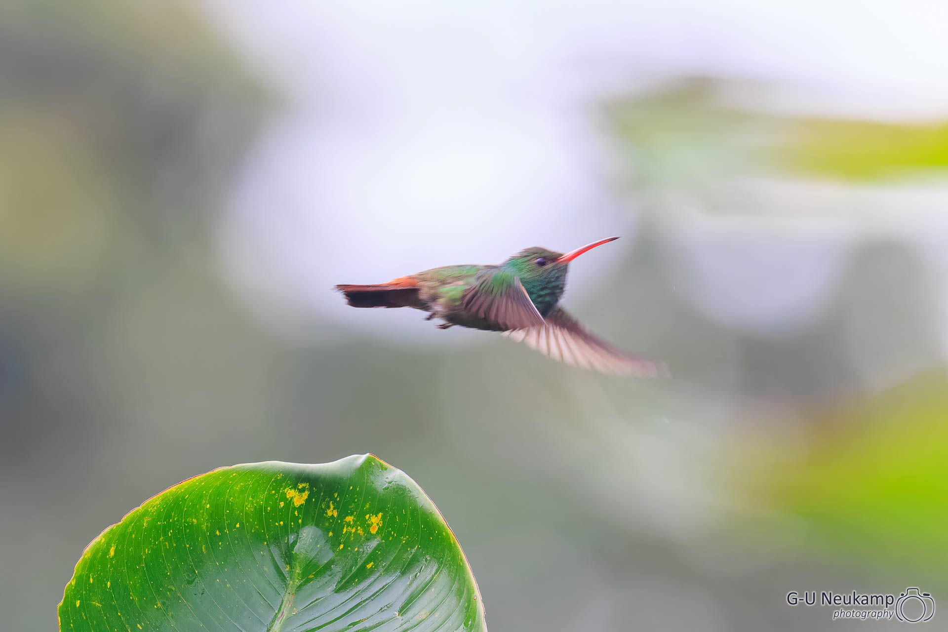 La Fortuna,Costa Rica