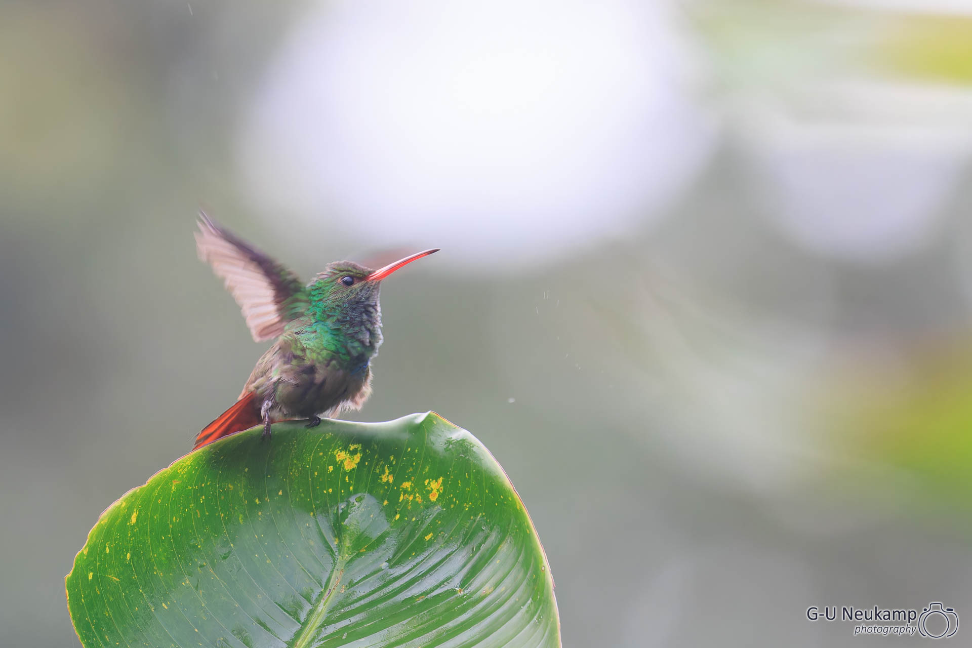La Fortuna,Costa Rica