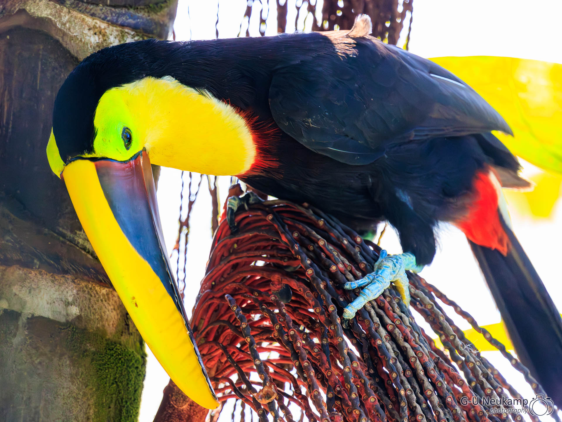 Bahía Drake,Costa Rica