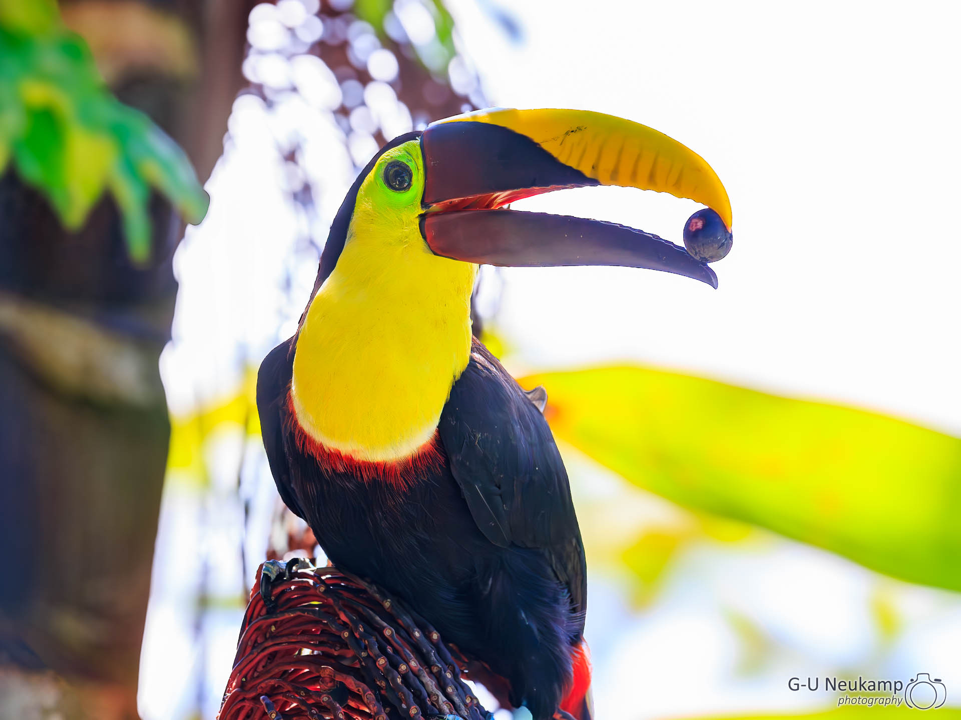 Bahía Drake,Costa Rica