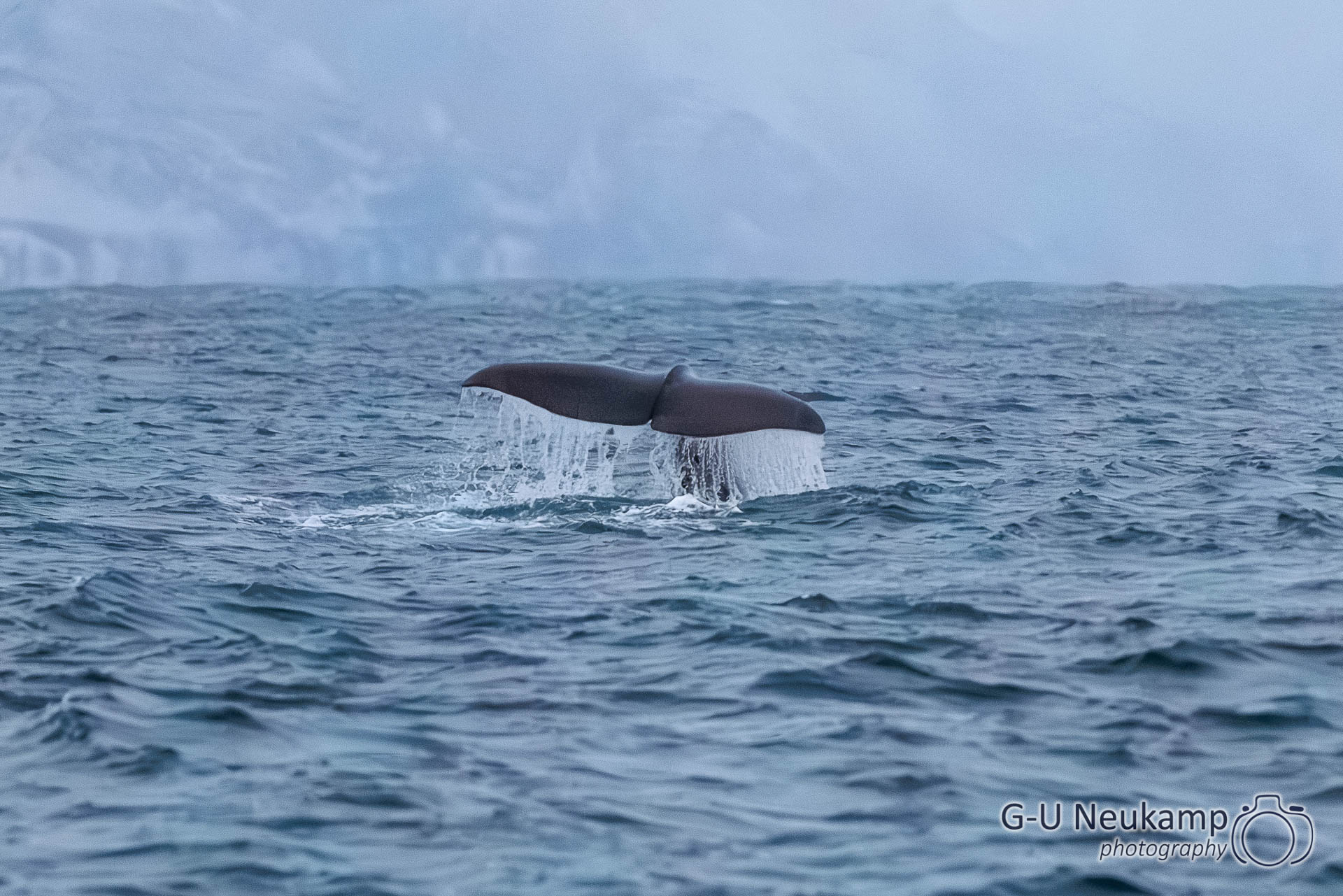 ,Norwegen