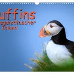 Puffins - ein neuer Kalender