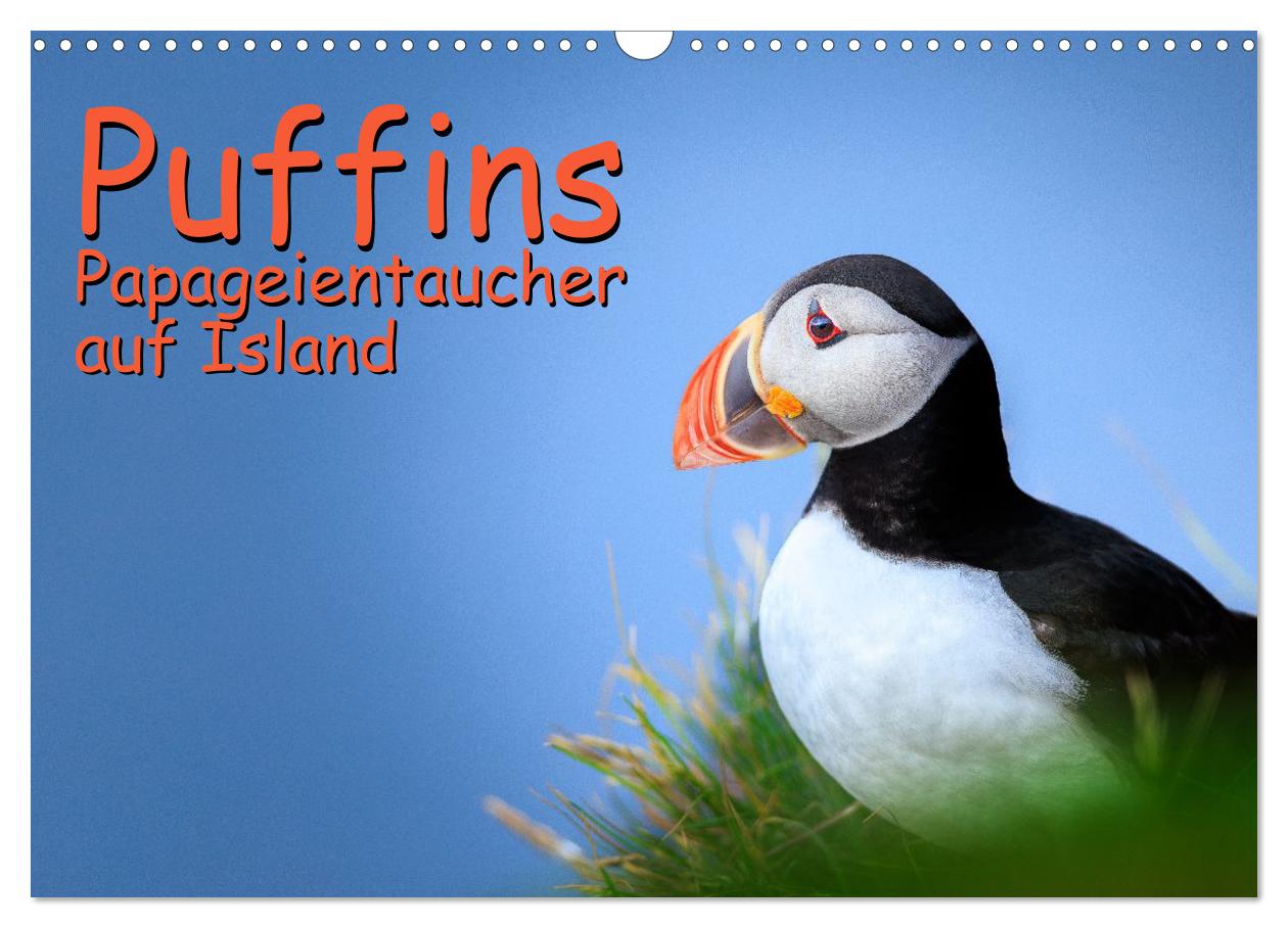 Mehr über den Artikel erfahren Puffins - ein neuer Kalender