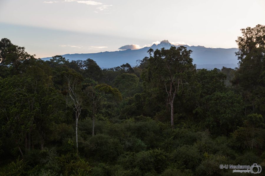 Mount Kenia im Morgengrauen ,Kenia