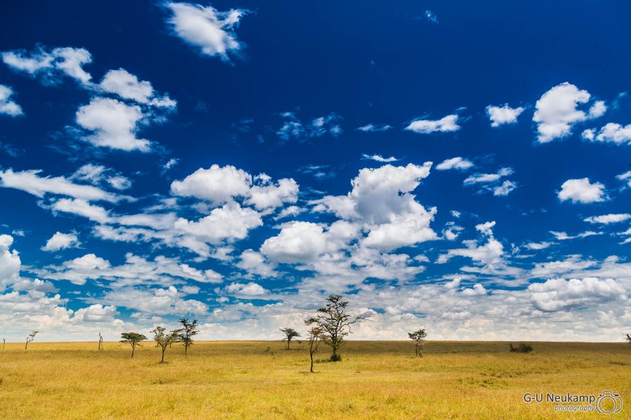 Sweetwaters ,Kenia
