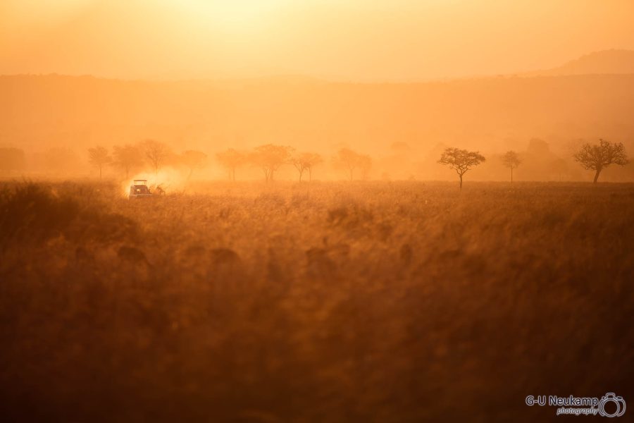 Safarifahrzeug bei Sonnenuntergang ,Tansania